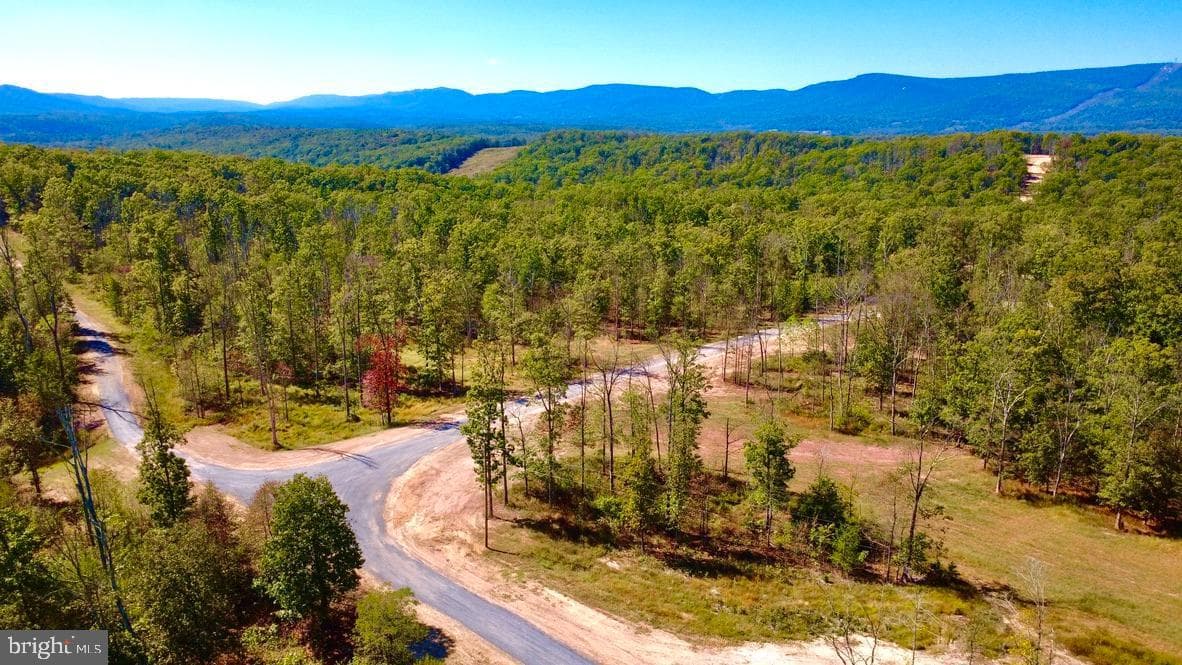 152.44 Acres Lot 2 Laurel Grove Road photo 4