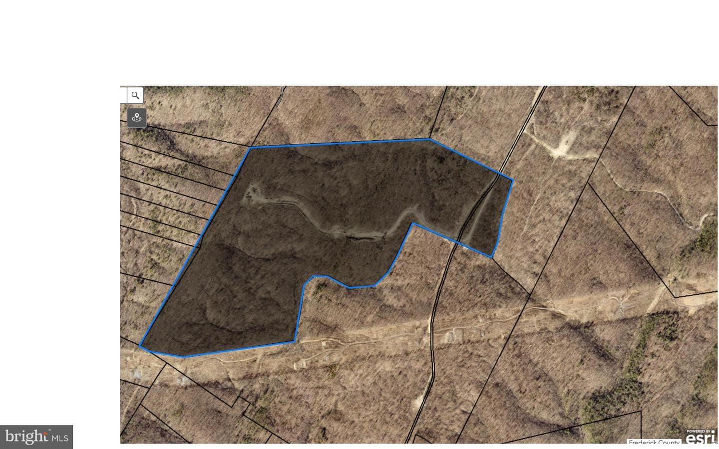 152.44 Acres Lot 2 Laurel Grove Road photo 9