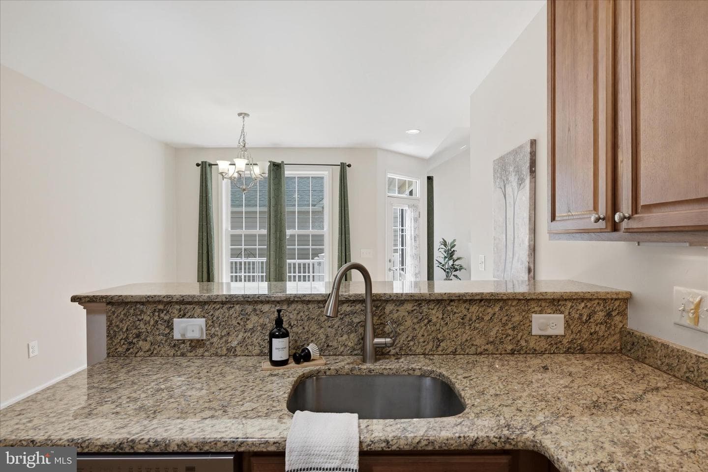 103 Bleeding Heart Drive photo 15