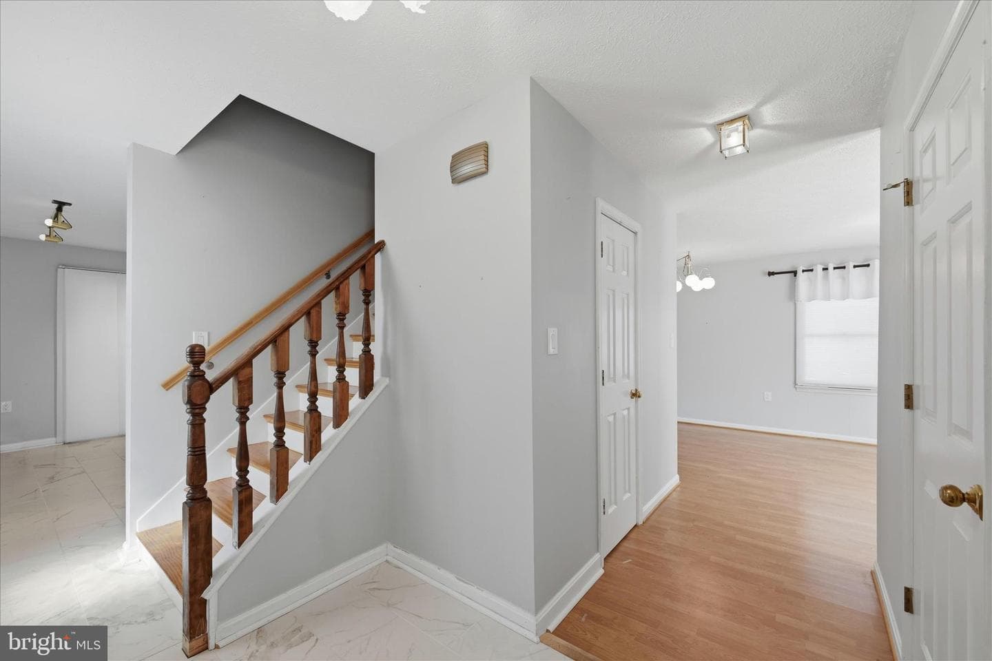 100 Karakul Court photo 4