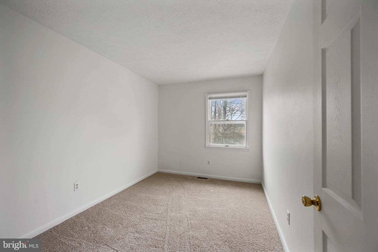 153 Buckingham Drive photo 35
