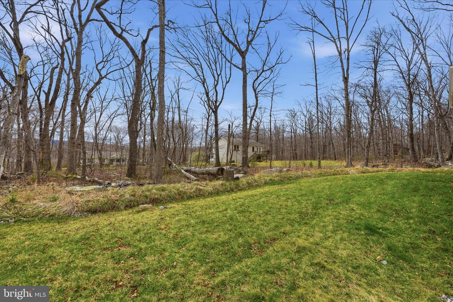 145 Graywolf Trail photo 47