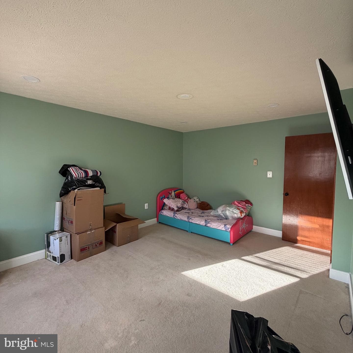 209 Somerset Drive photo 13