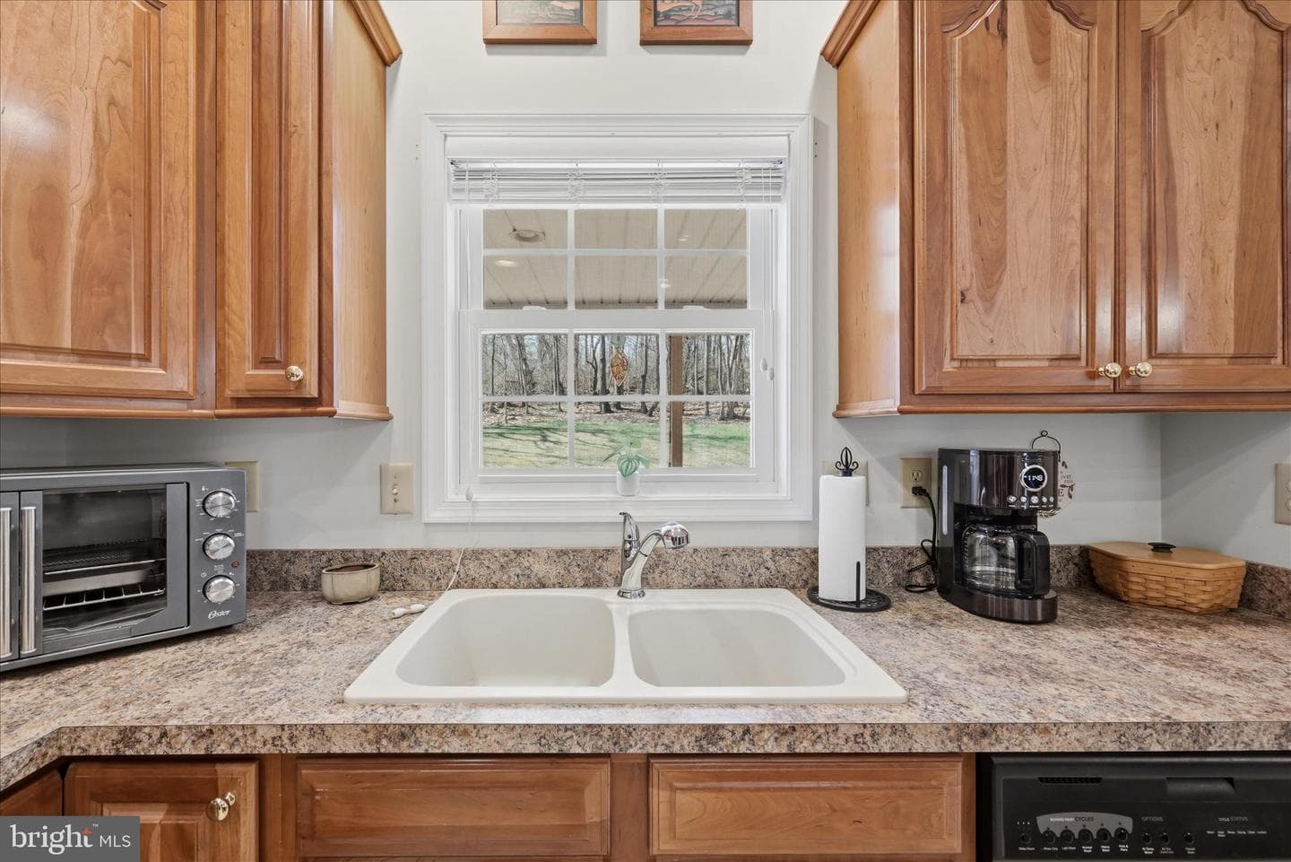 155 Bunchberry Ridge Court photo 29