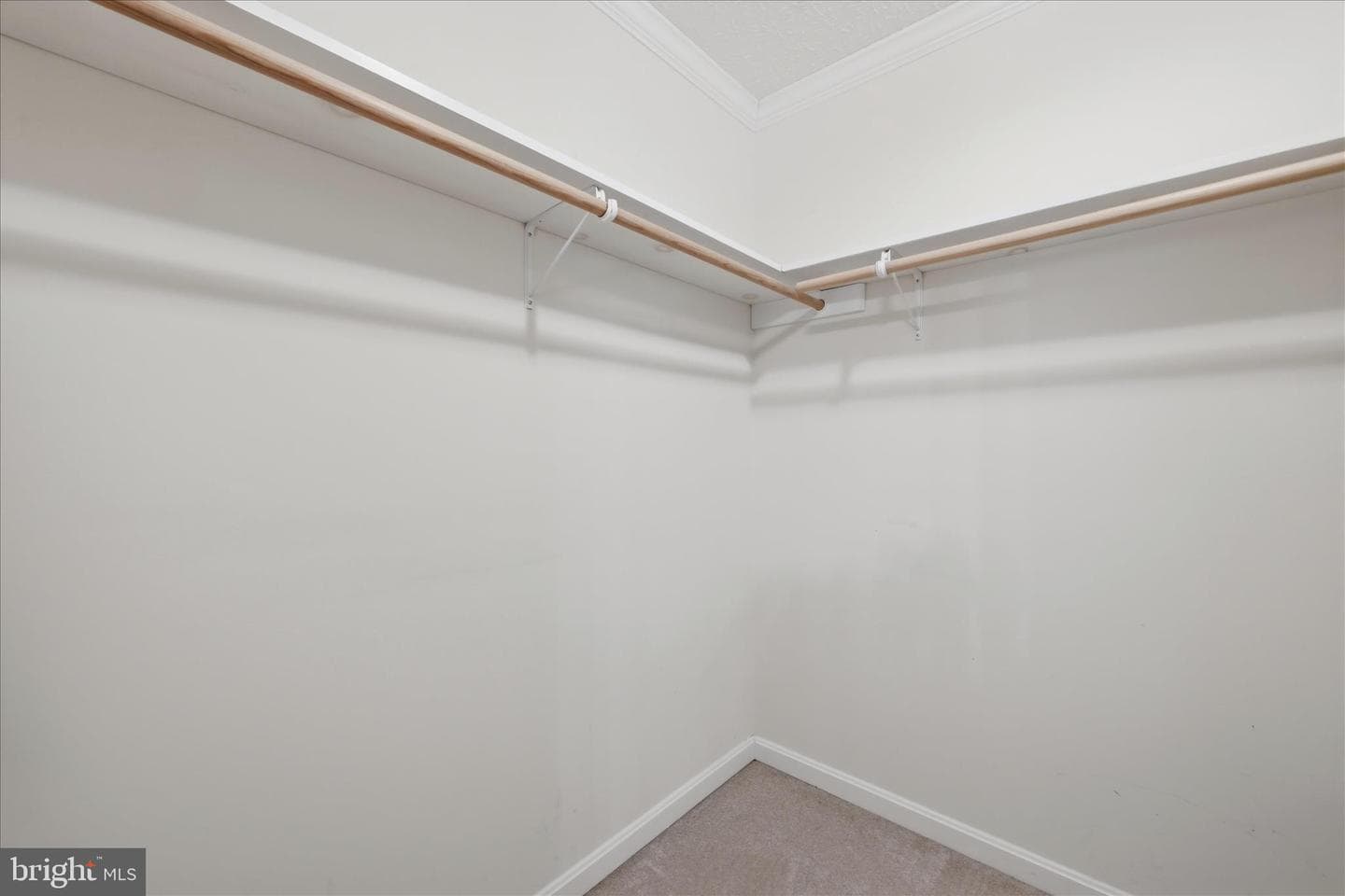 155 Bunchberry Ridge Court photo 47