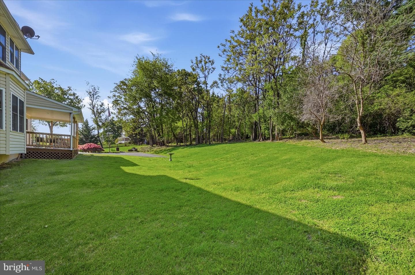 155 Bunchberry Ridge Court photo 60