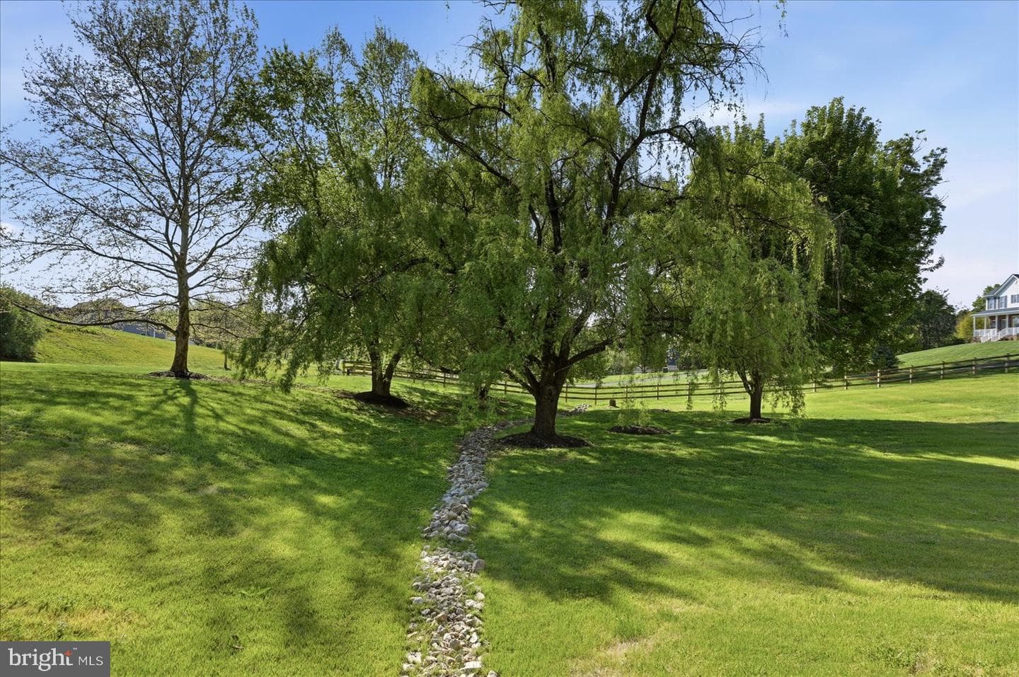 155 Bunchberry Ridge Court photo 61
