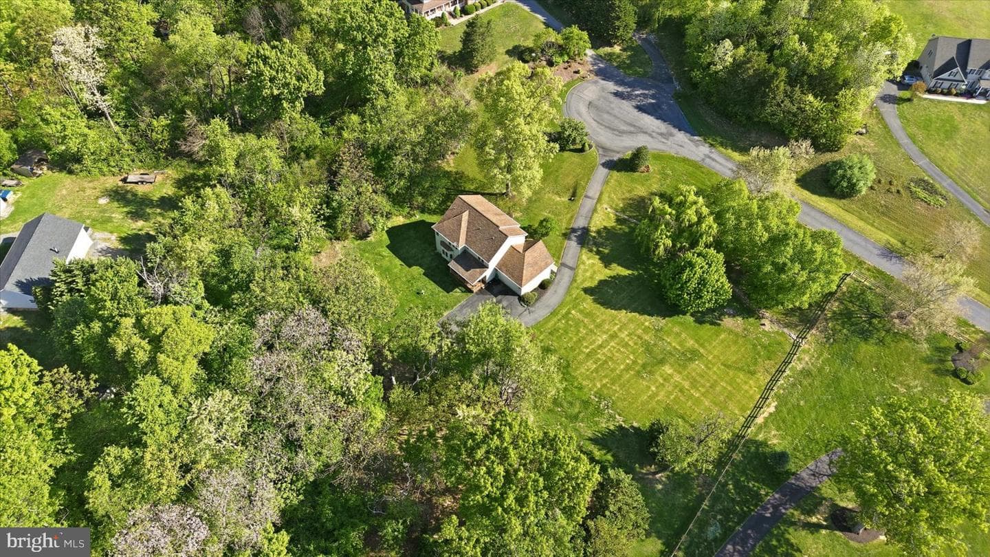 155 Bunchberry Ridge Court photo 64