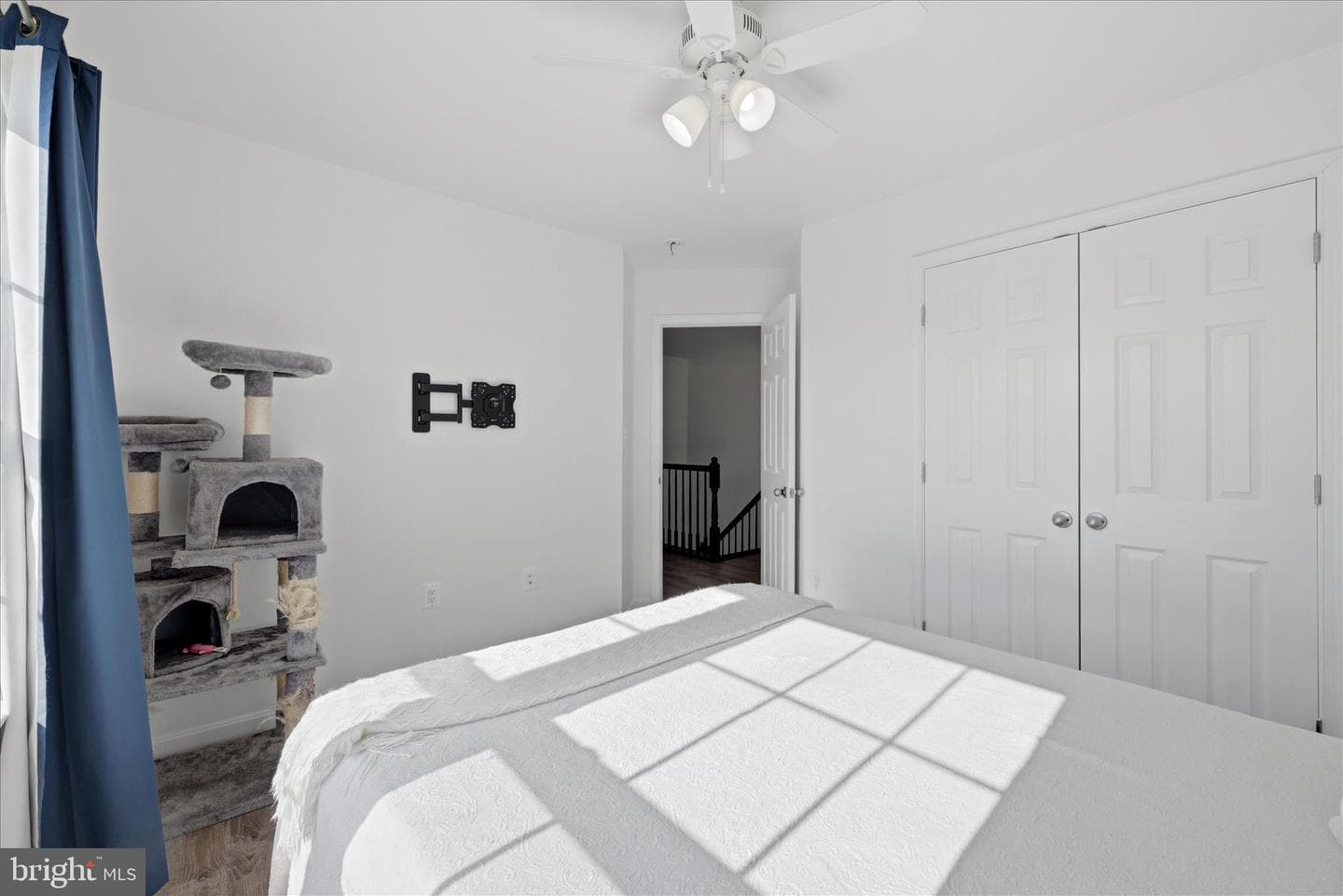 101 Radford Court photo 38