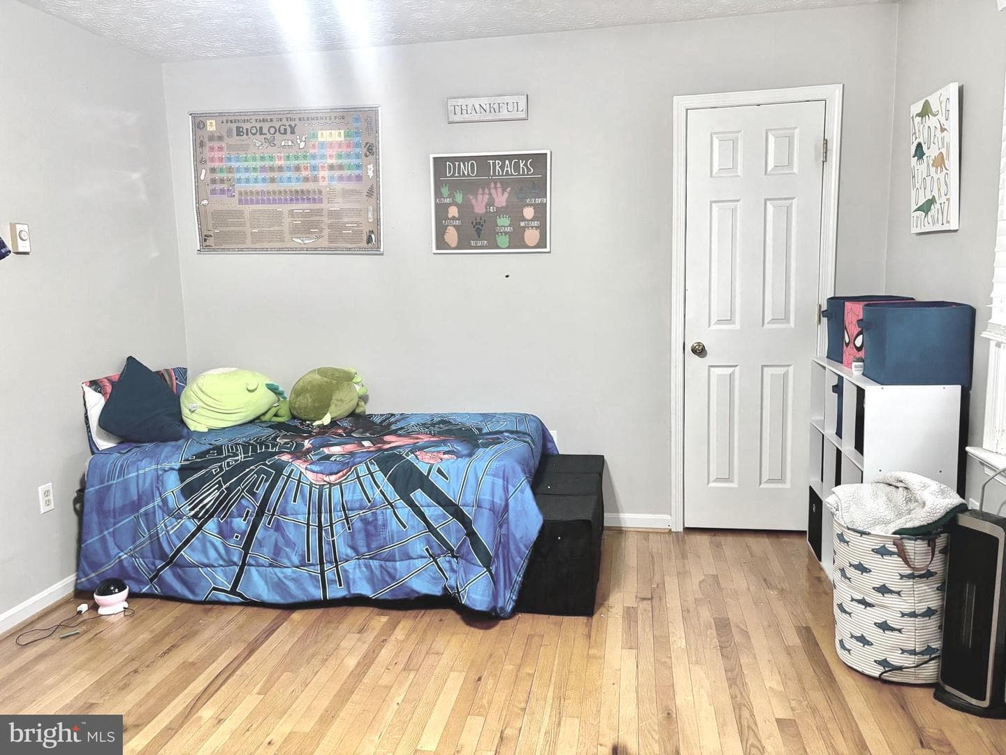 611 Carroll Drive photo 20