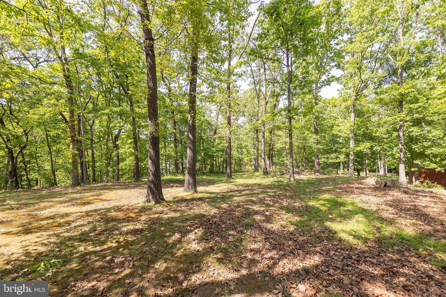 430 Babbs Mountain Road, Winchester