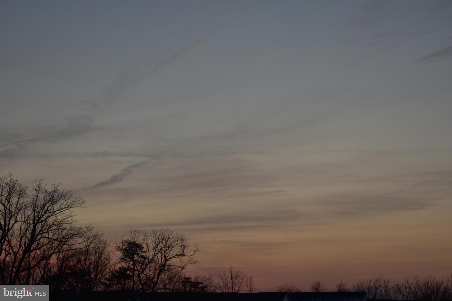 118 Twinleaf Way photo 69