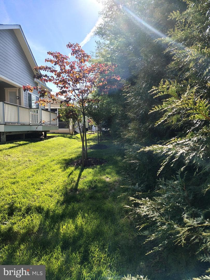 213 Grebe Drive photo 7