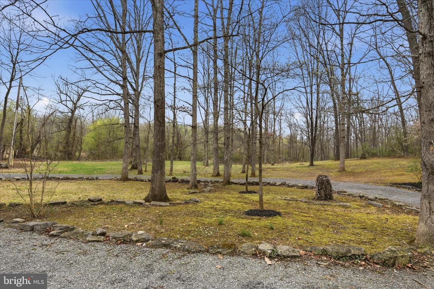 256 Brookneil Drive photo 64