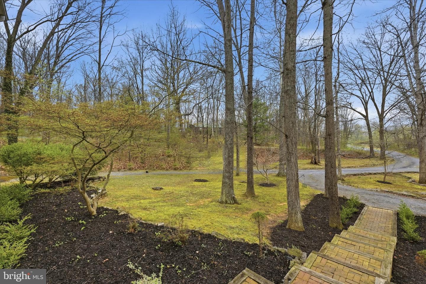 256 Brookneil Drive photo 7