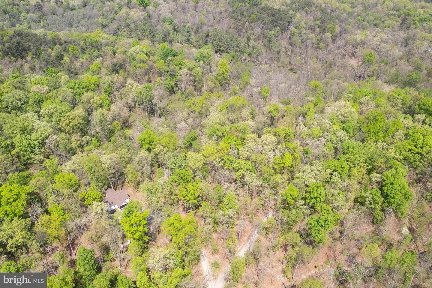 221 Settlers Lane photo 48