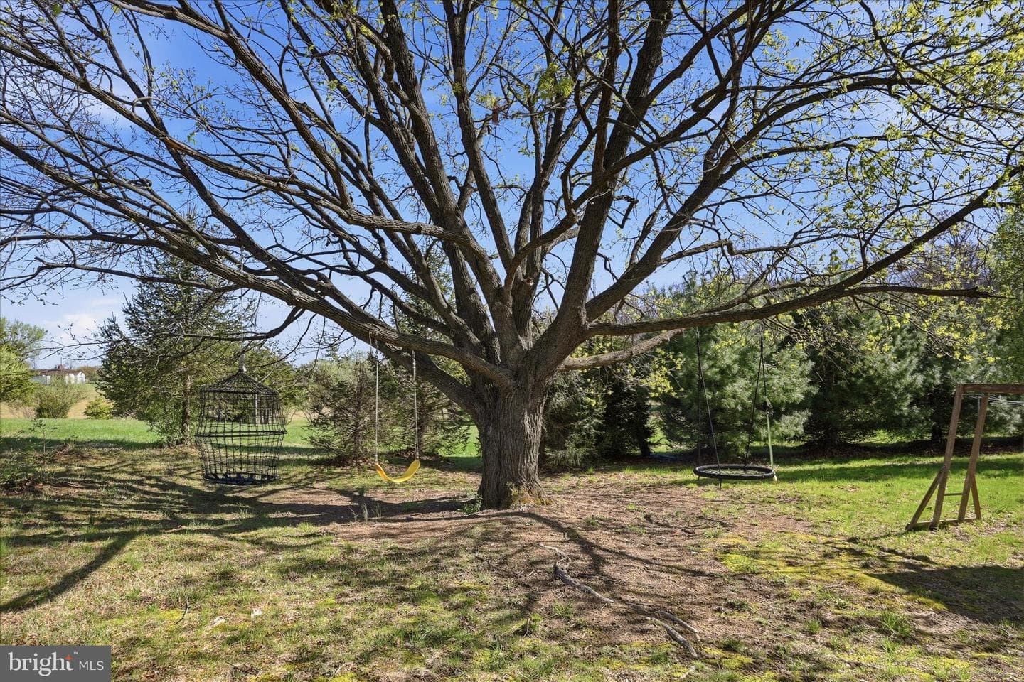 1239 Cedar Grove Road photo 70