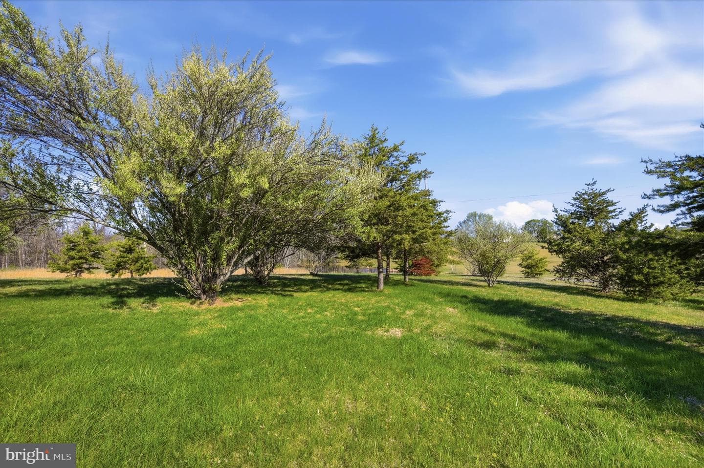 1239 Cedar Grove Road photo 72