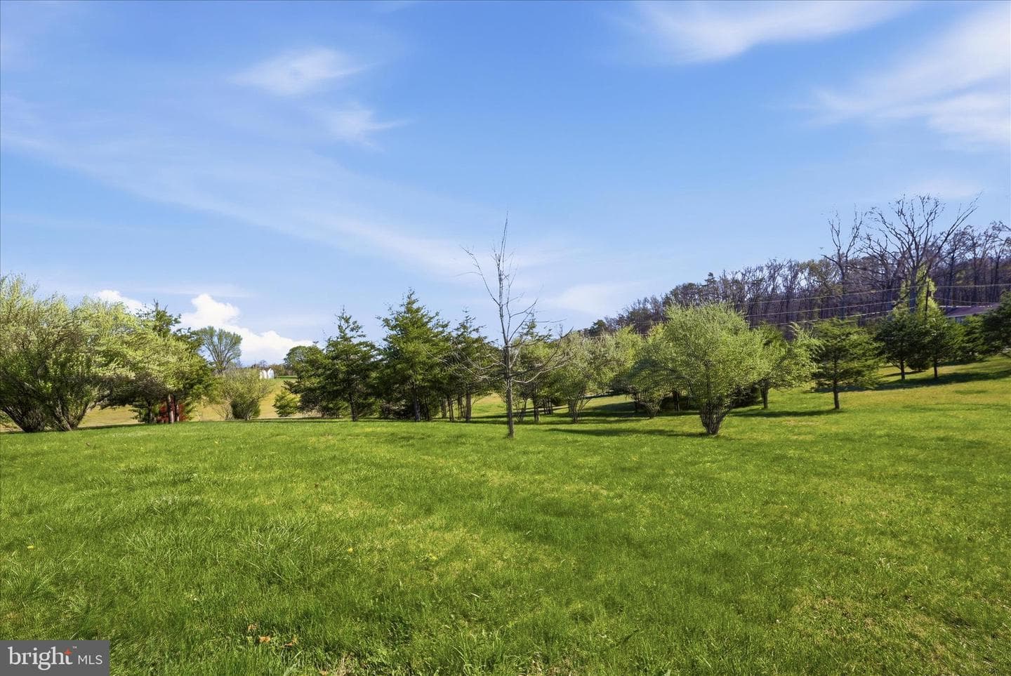 1239 Cedar Grove Road photo 73
