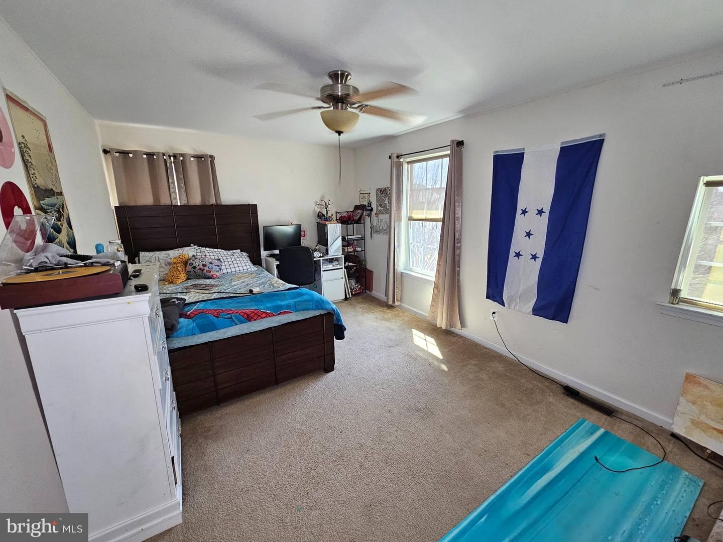 114 Lattice Drive photo 41