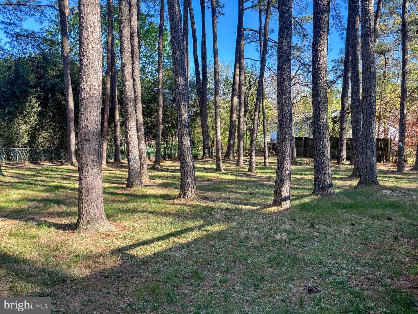 102 Carroll Drive photo 24