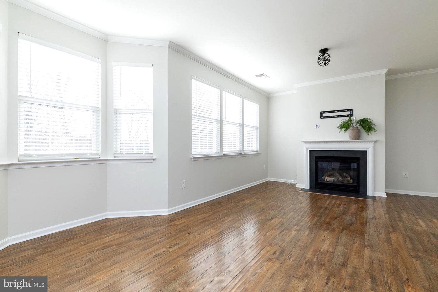 125 Carnoustie Lane photo 10