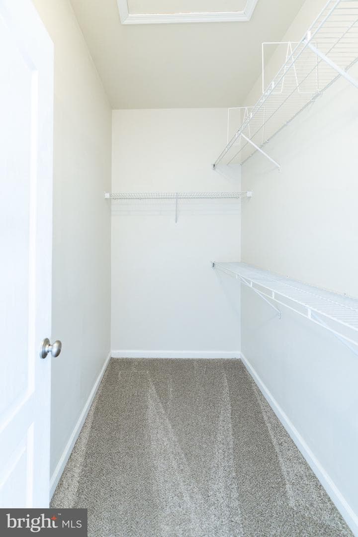 125 Carnoustie Lane photo 21
