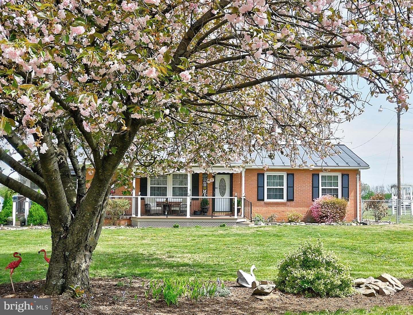 4312 Martinsburg Pike photo 5