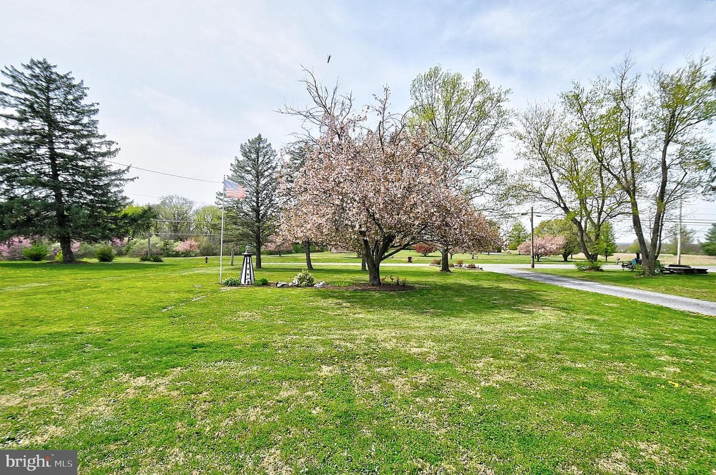 4312 Martinsburg Pike photo 67