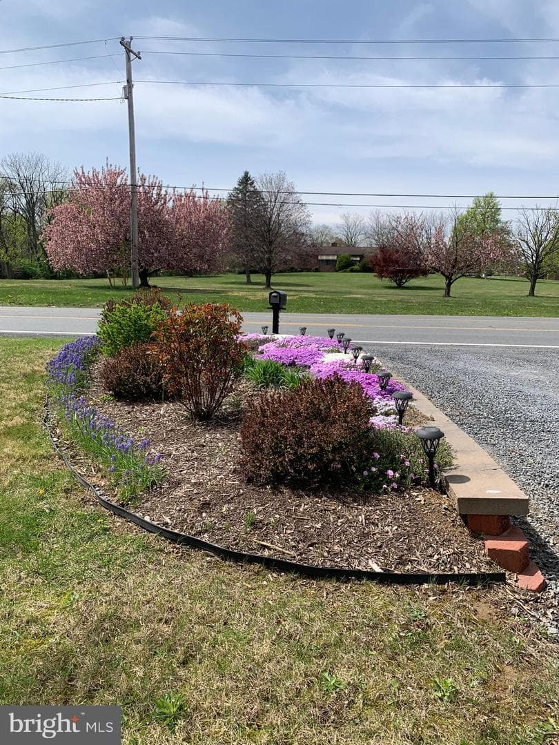 4312 Martinsburg Pike photo 69