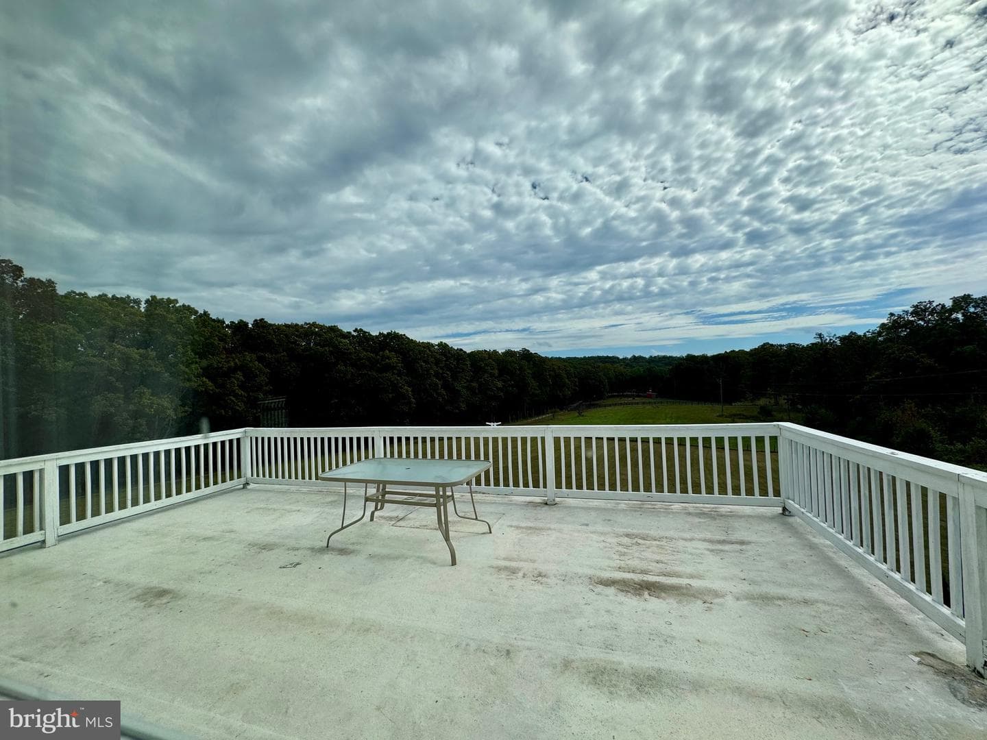 220 Snappy Lane photo 10