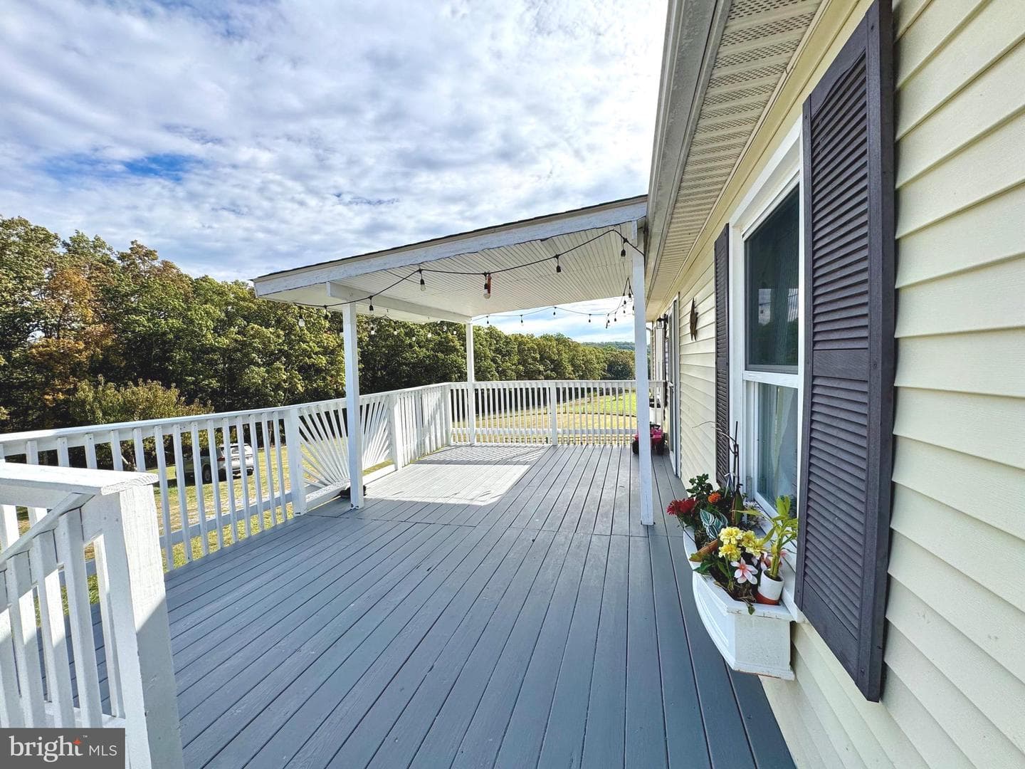 220 Snappy Lane photo 3