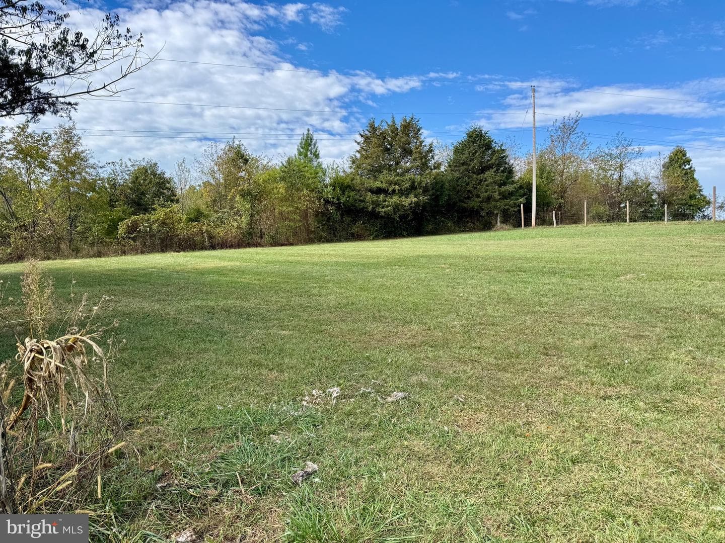 220 Snappy Lane photo 45
