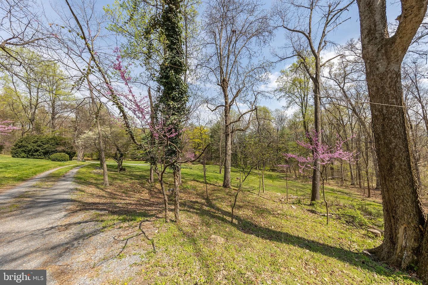 1460 Pitcock Lane photo 100