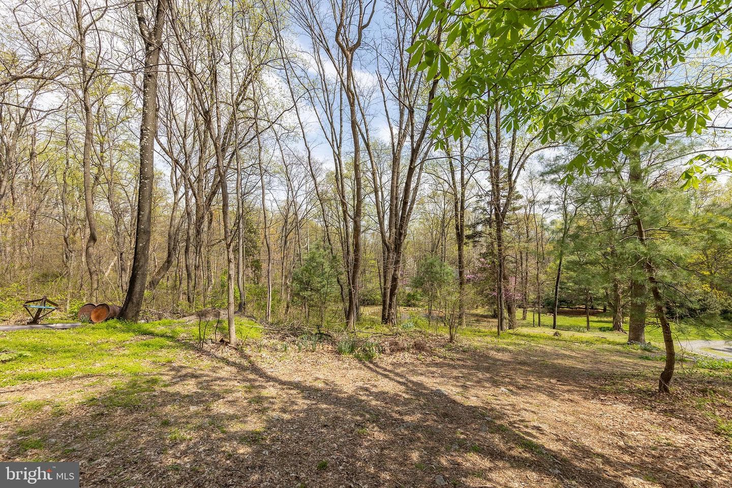 1460 Pitcock Lane photo 83