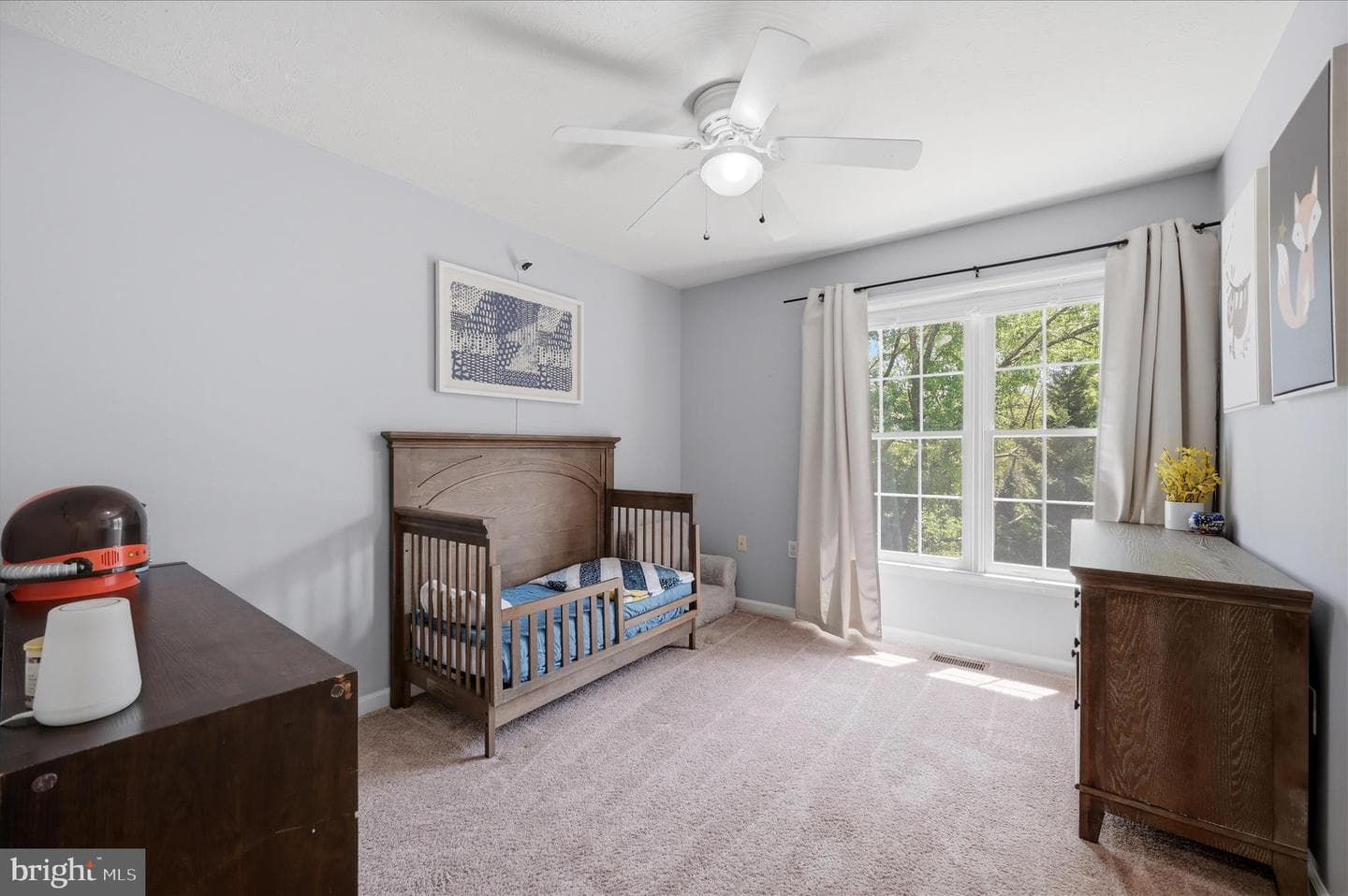 228 Cavalry Drive photo 46