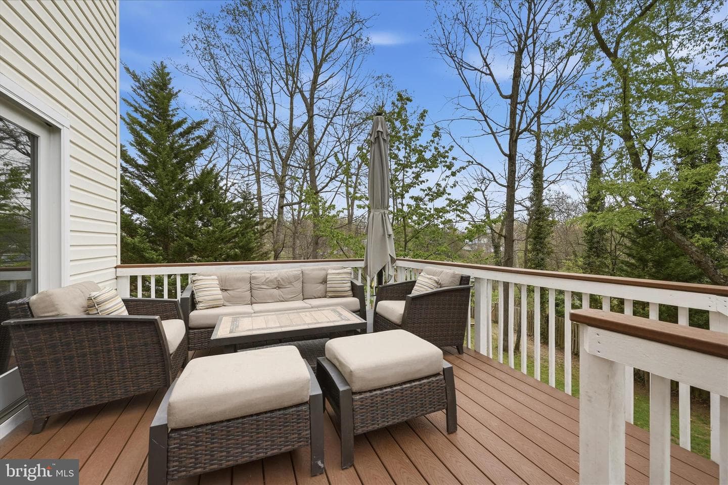 228 Cavalry Drive photo 81