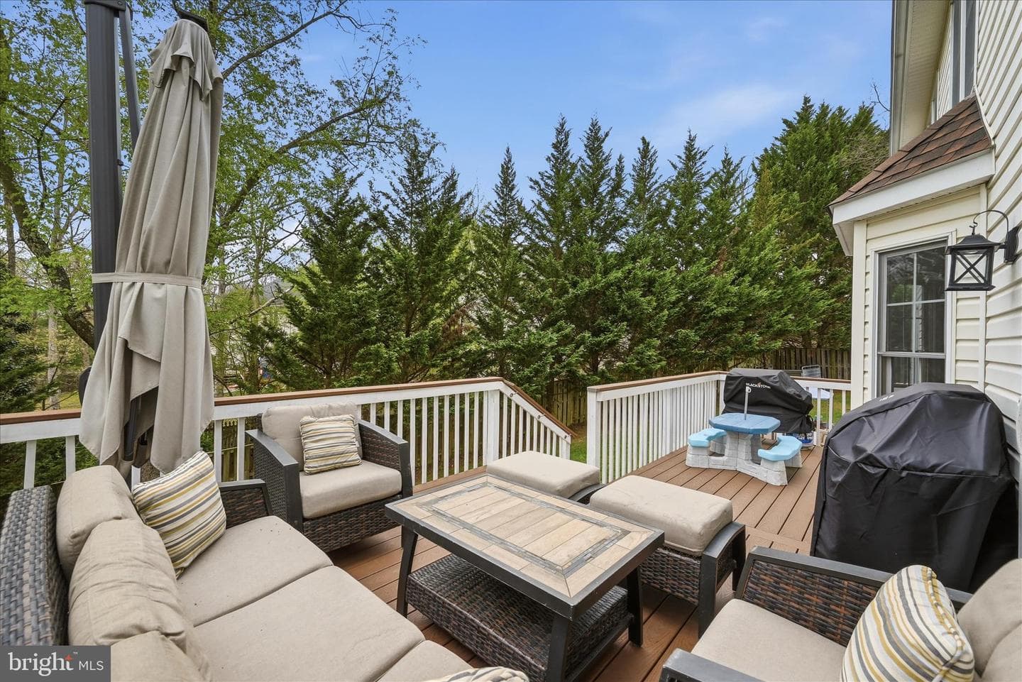 228 Cavalry Drive photo 82