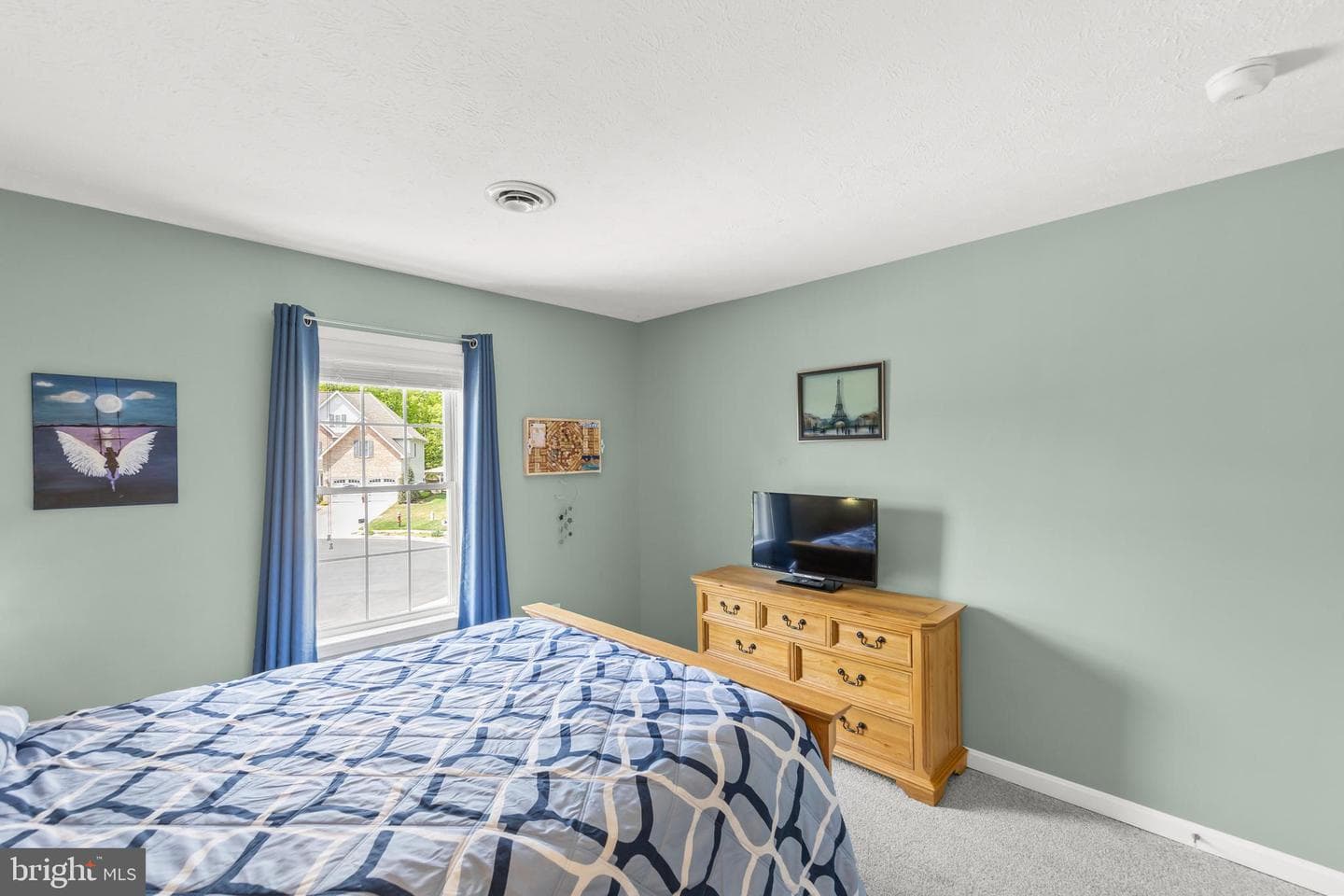 103 Boydton Plank Drive photo 46