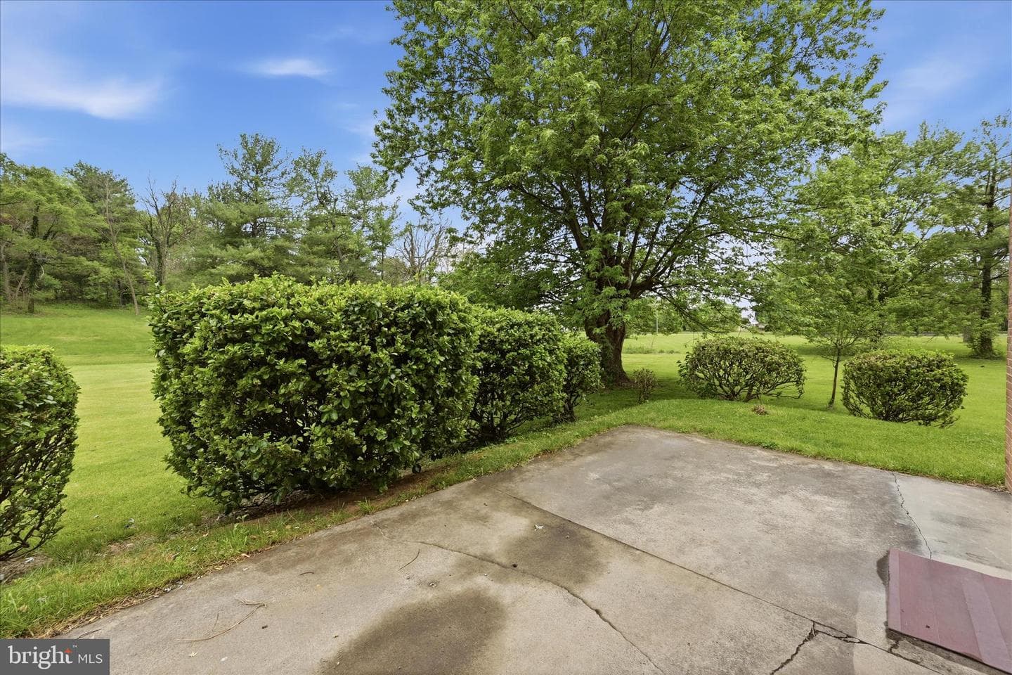 103 Cambridge Place photo 53