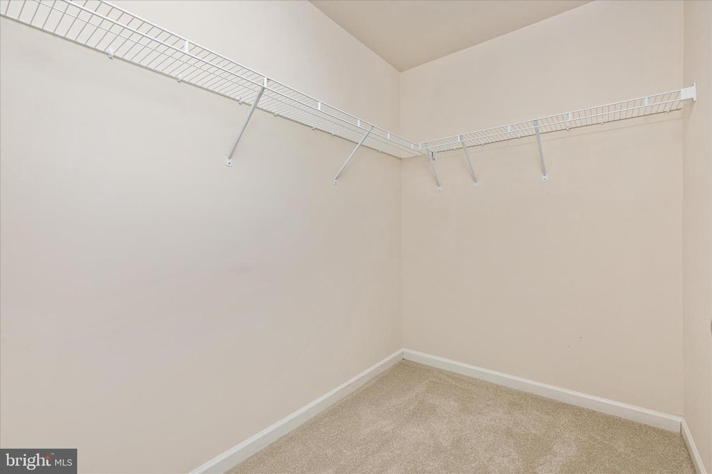 109 Splendor Garden Way photo 23