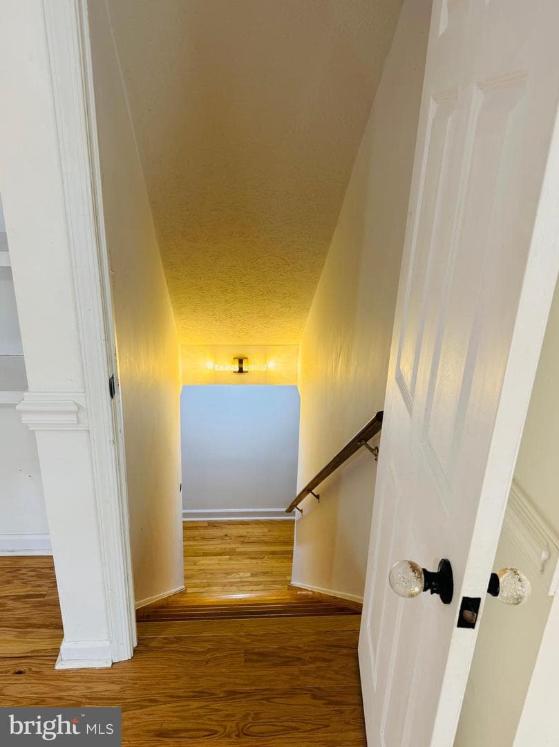 104 Fancy Court photo 37