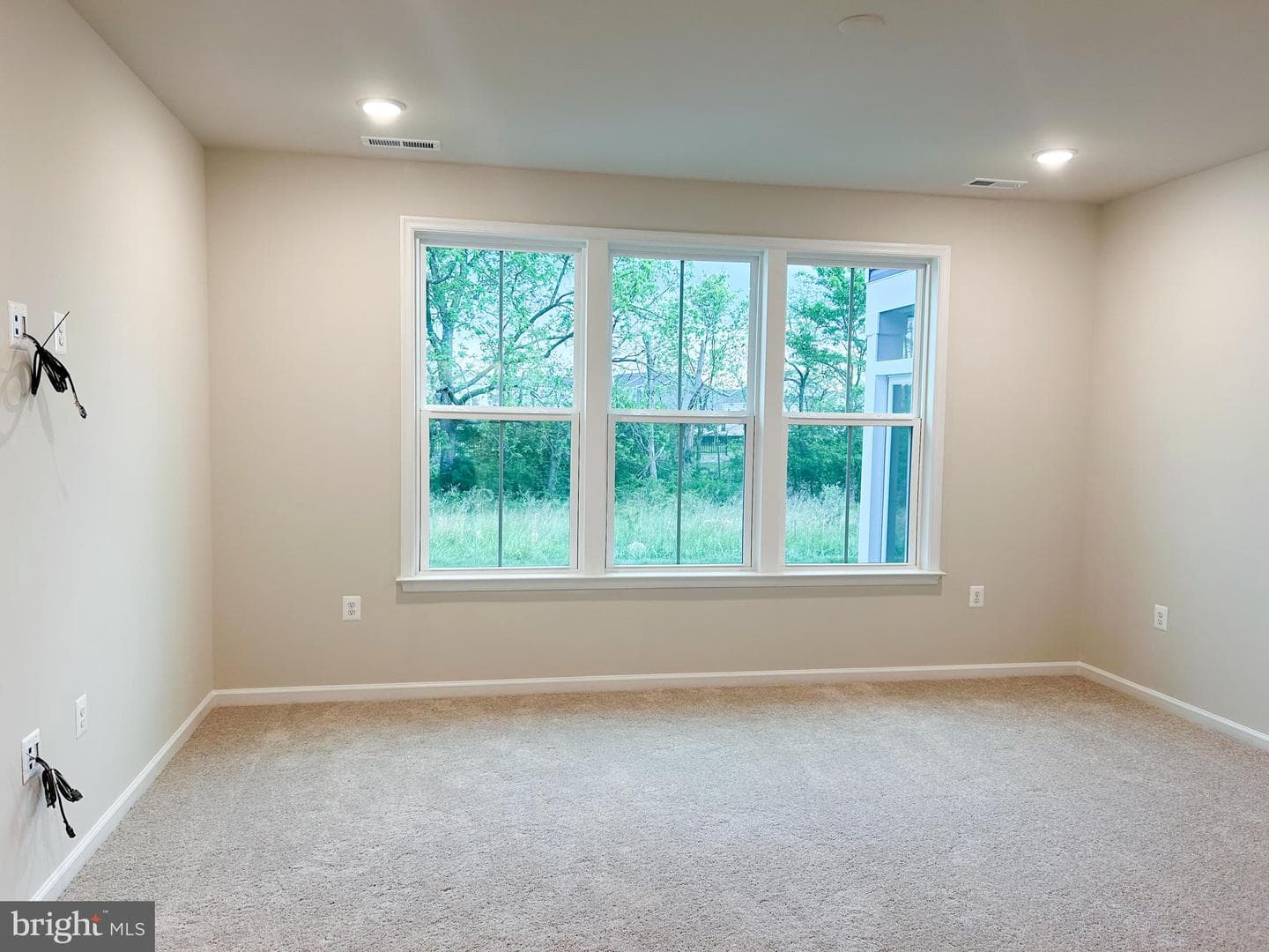 108 Zinnia Lane photo 12