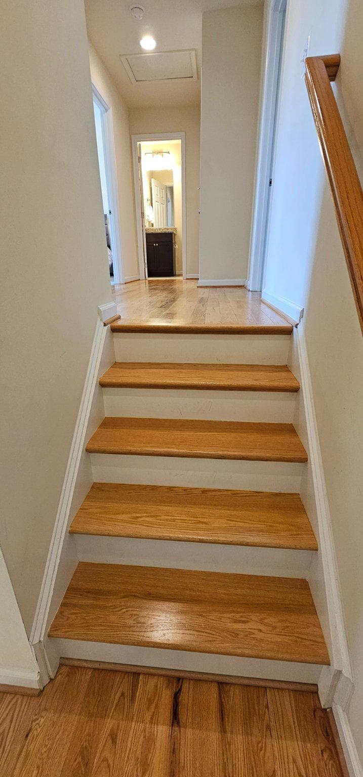 115 Brockham Court photo 25