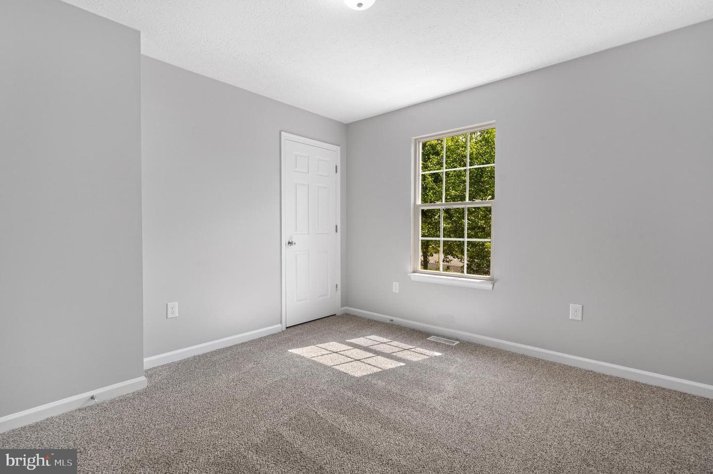 305 Woodrow Road photo 13