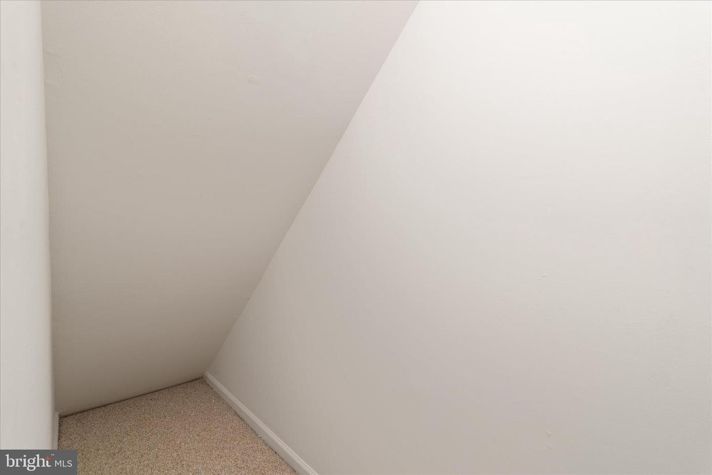 509 Hamilton Court photo 7