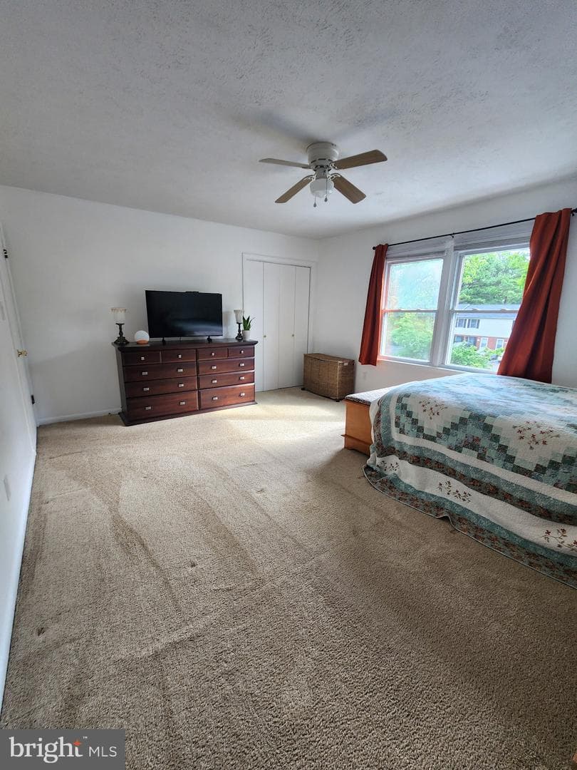 243 Brunswick Road photo 13