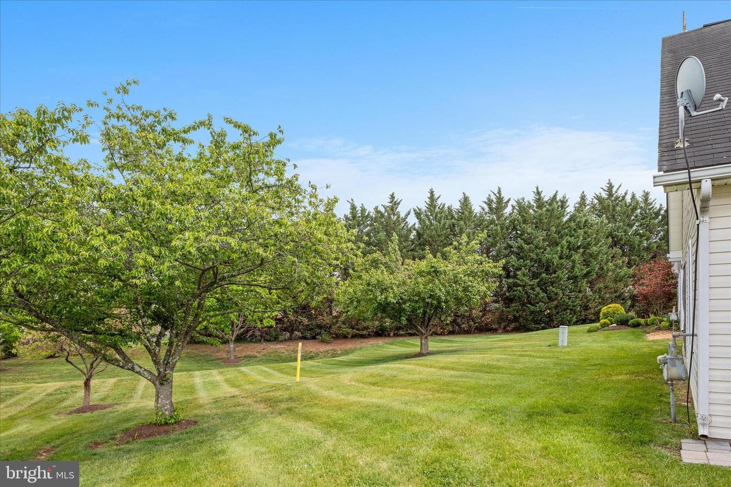 203 Cranberry Court photo 24