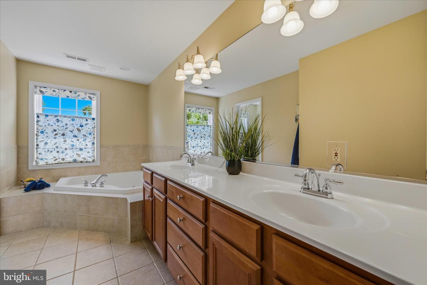 207 Stanley Drive photo 18
