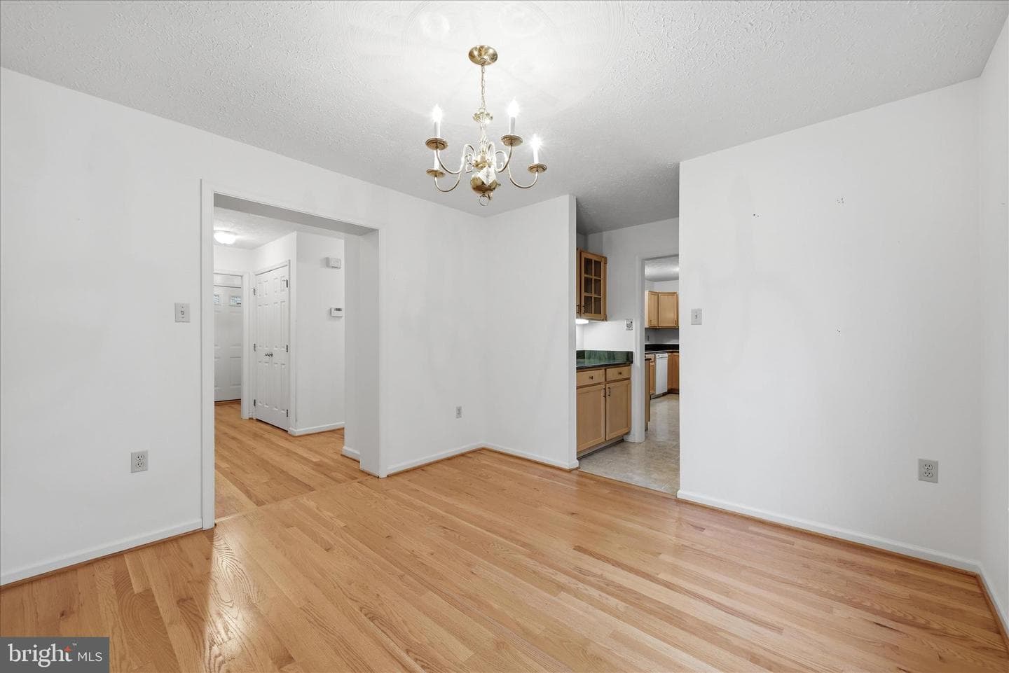 219 Bentley Avenue photo 24